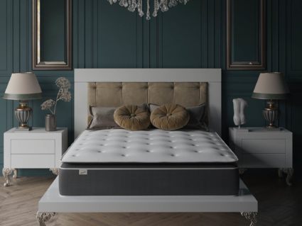 Матрас Evita SymBio Charm Firm 39
